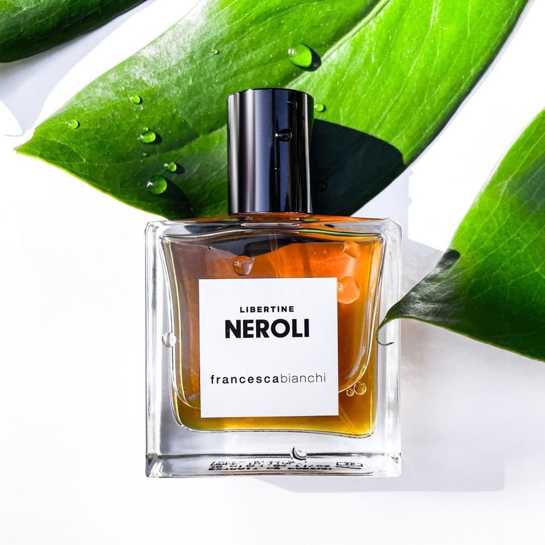 Social Francesca Bianchi Neroli Libertini
