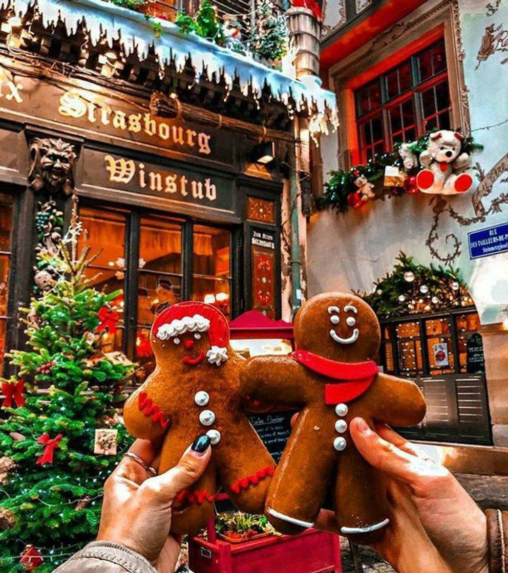 Social Natal Fotos e Decorações 🎄❤