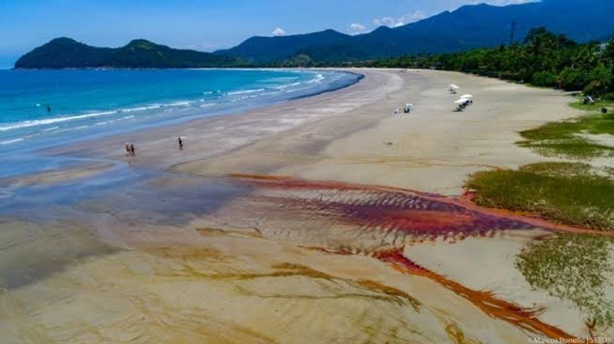 Lugar Praia da Baleia - São Sebastião