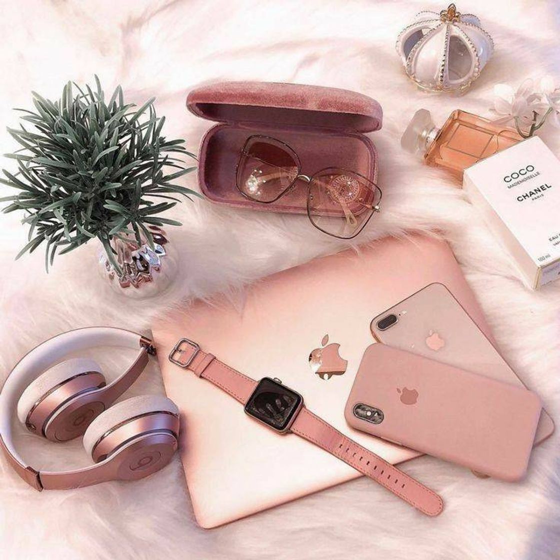 Social Rose Gold 