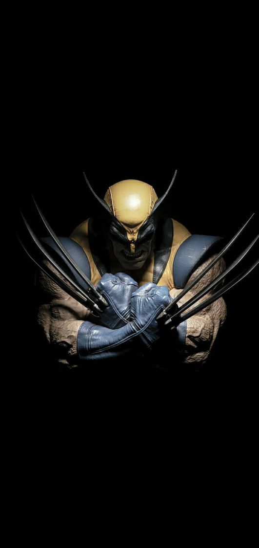 Moda Wolverine