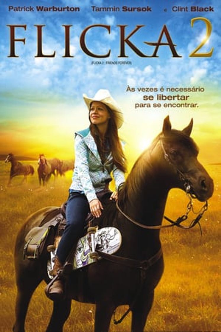 Movie Flicka 2