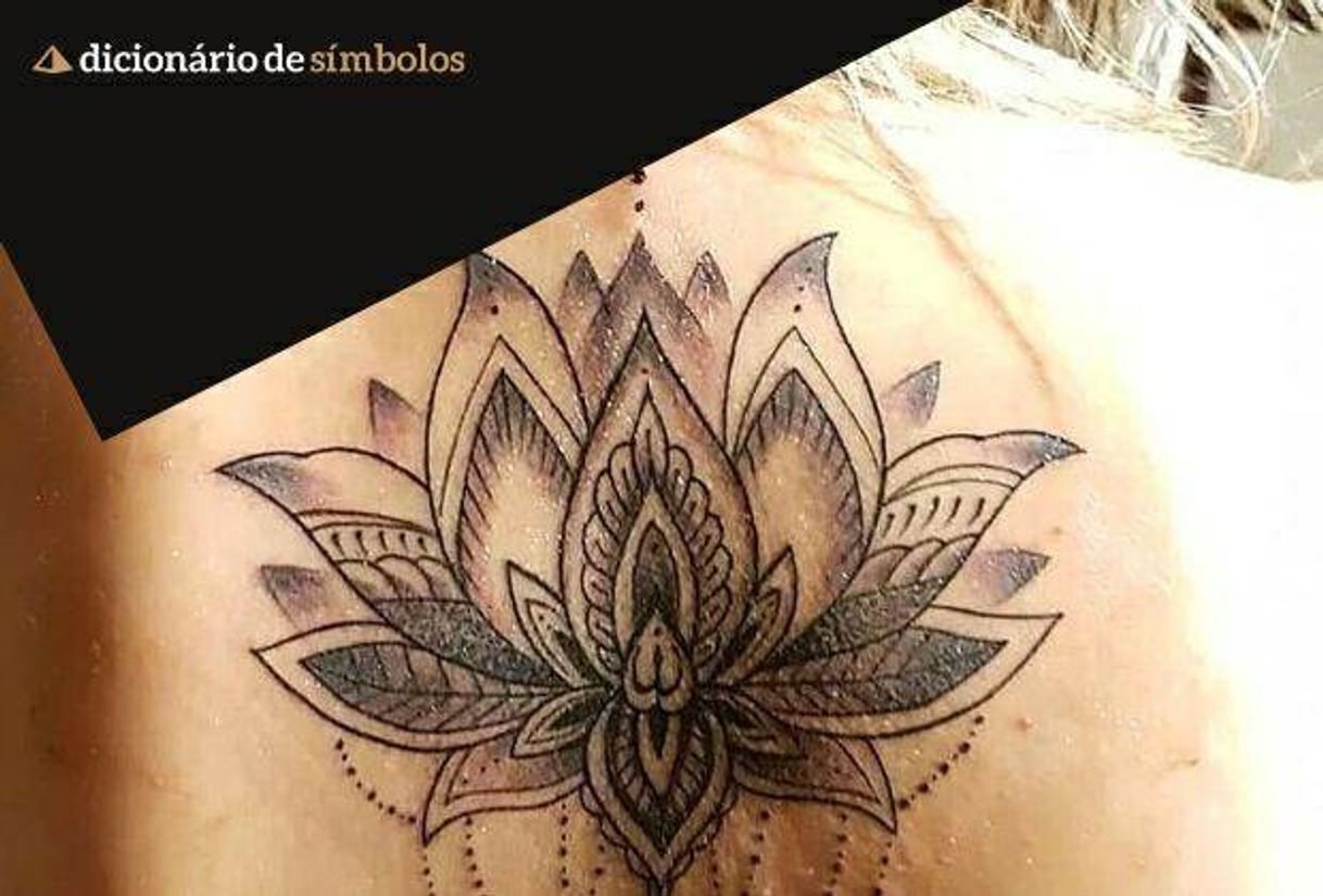 Social Tatuagem 