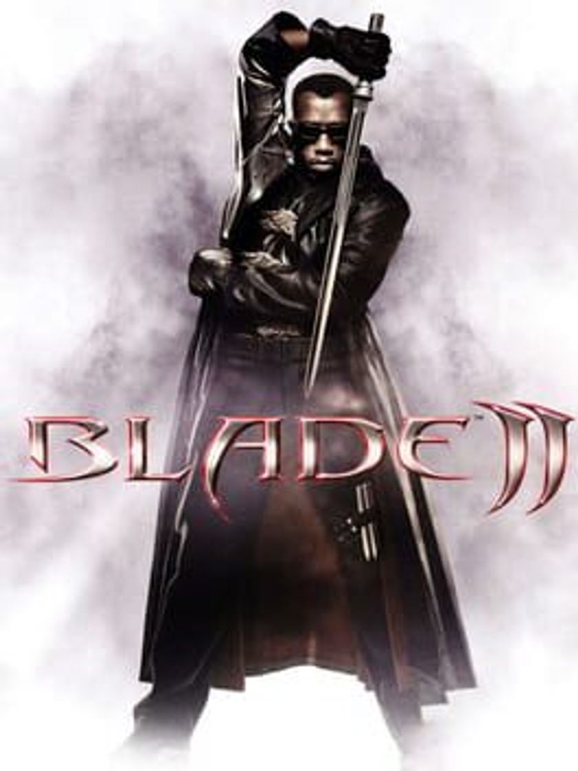 Videogames Blade II