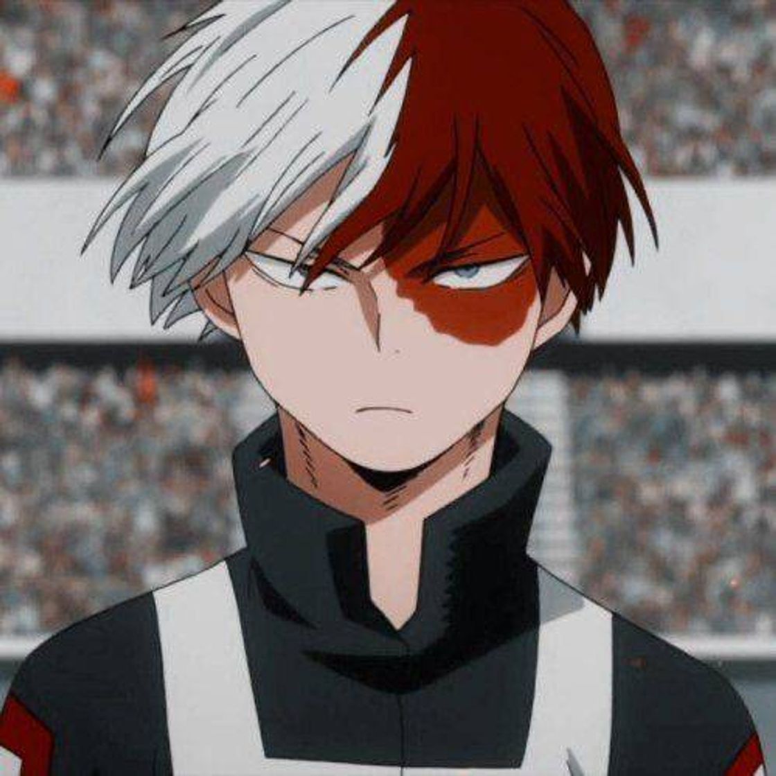 Moda Icon bnha todoroki 