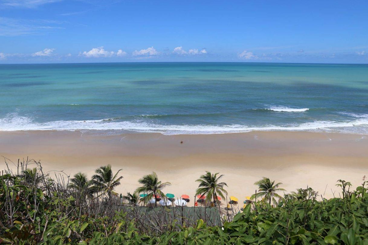 Moda Praias nordestinas. 