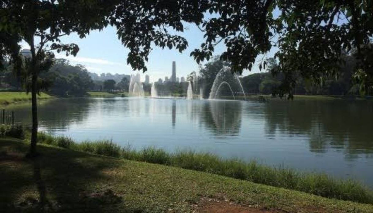 Lugar Parque Ibirapuera