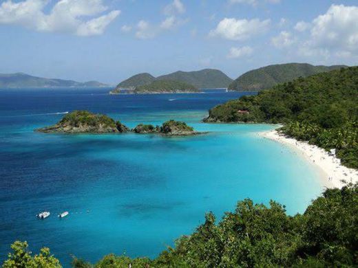 Trunk Bay