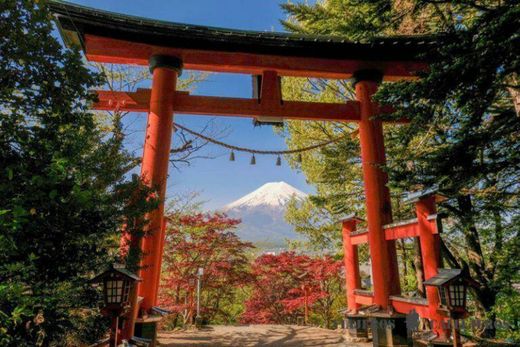 Japon Kyoto Parkı