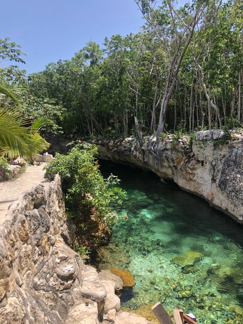 Place Casa Tortuga Tulum