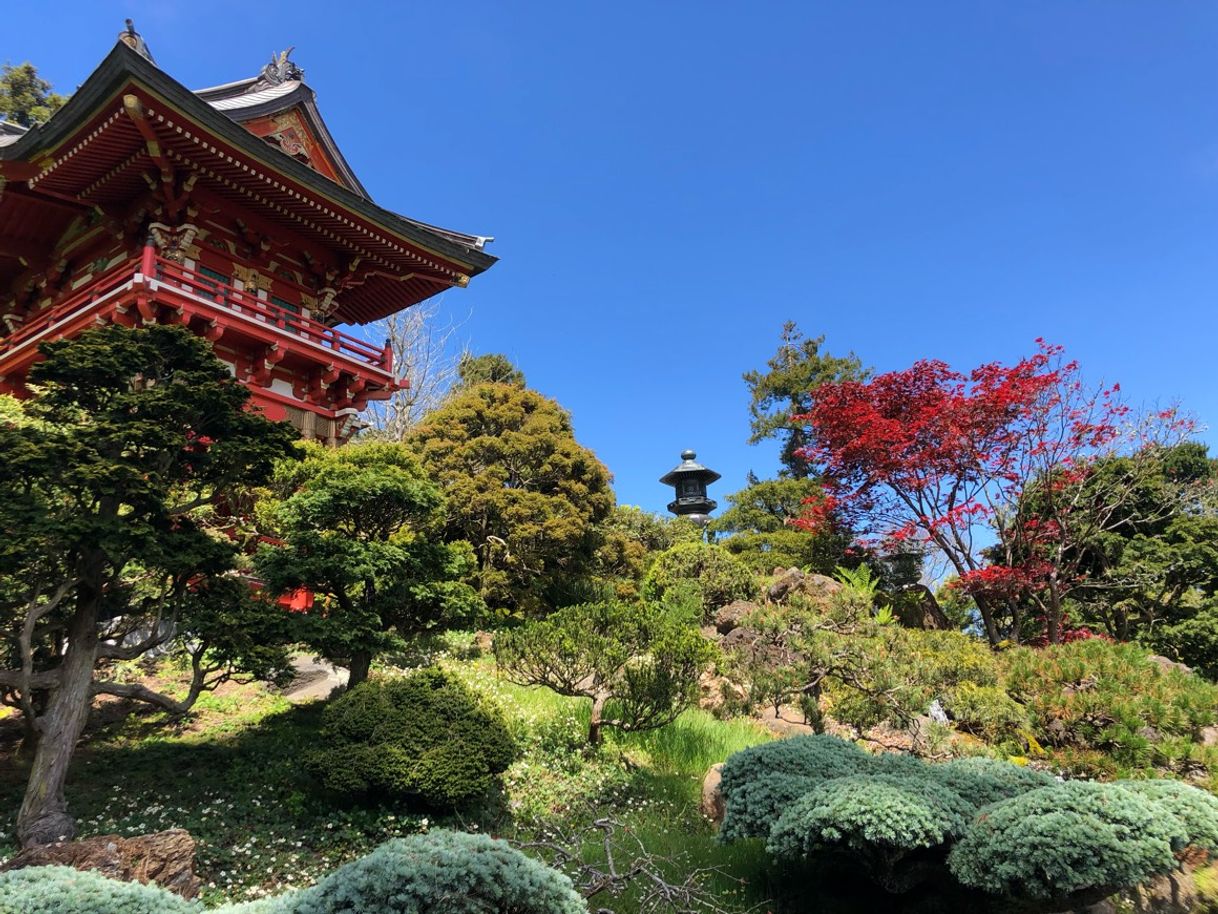 Japanese Tea Garden