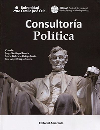 Consultoría Política