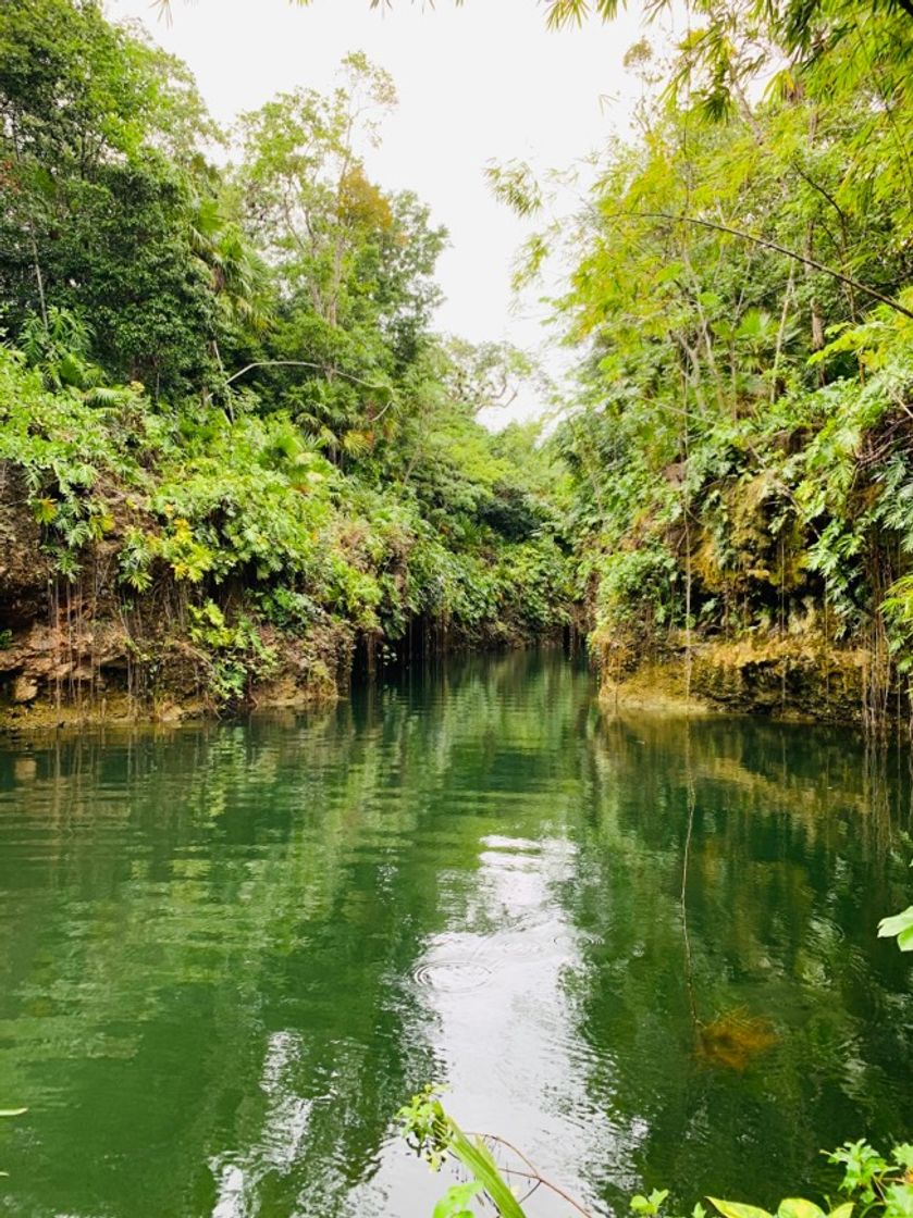 Places Cenote La Orquídea