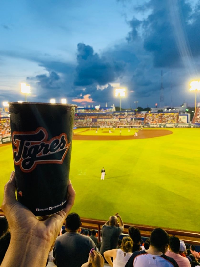 Lugares Estadio de Beisbol Beto Ávila