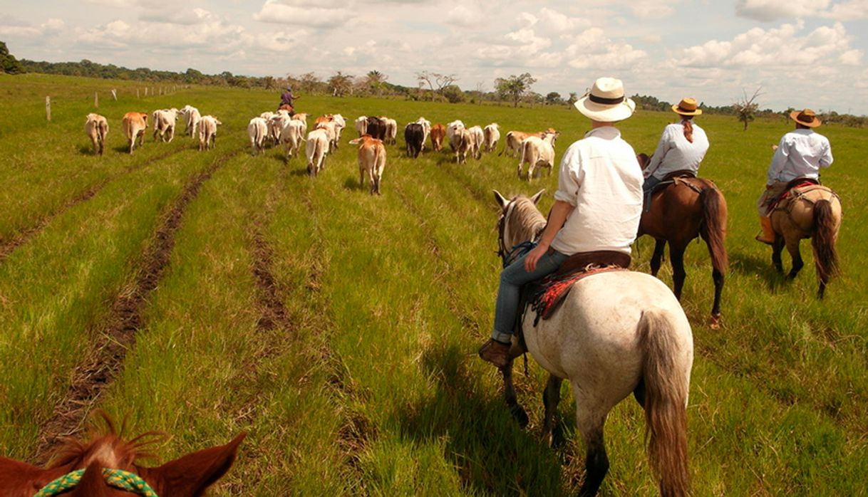 Lugar Los Llanos Orientales