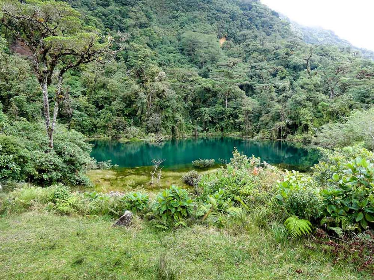 Lugar Pozo Verde