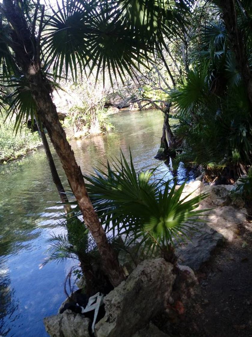 Lugar Cenote Azul