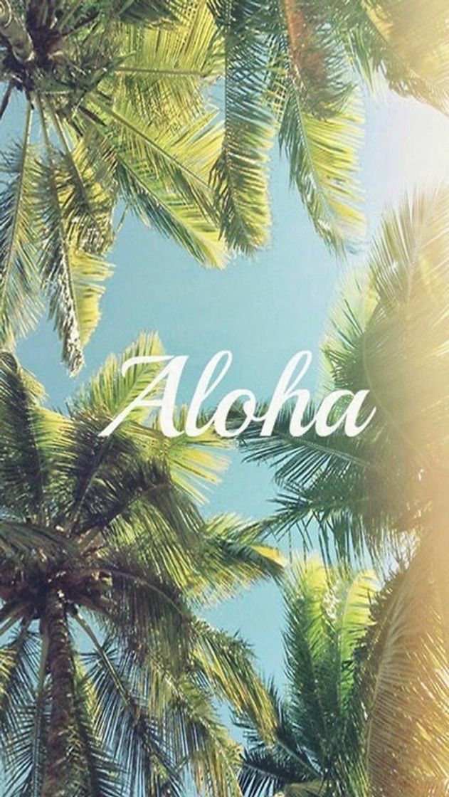 Moda ALOHA 🌴