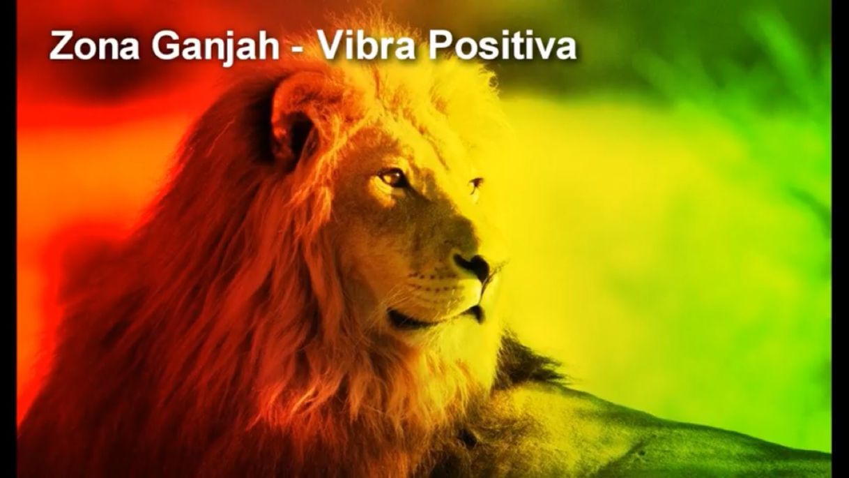 Music Vibra Positiva