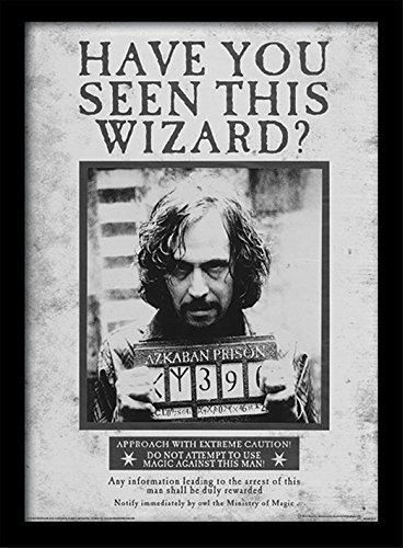 Harry Potter - Poster 3D Potter / Sirius, Negro, 10 x 8 x 1.3 cm ...