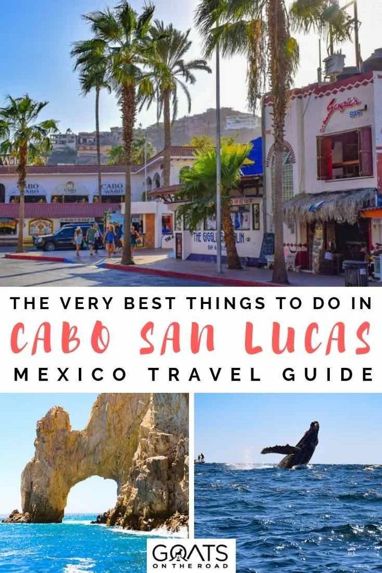 Lugar Los Cabos