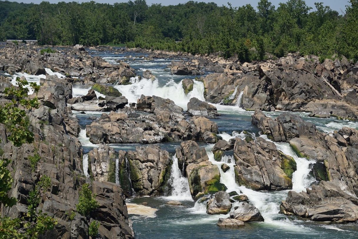 Place Great Falls