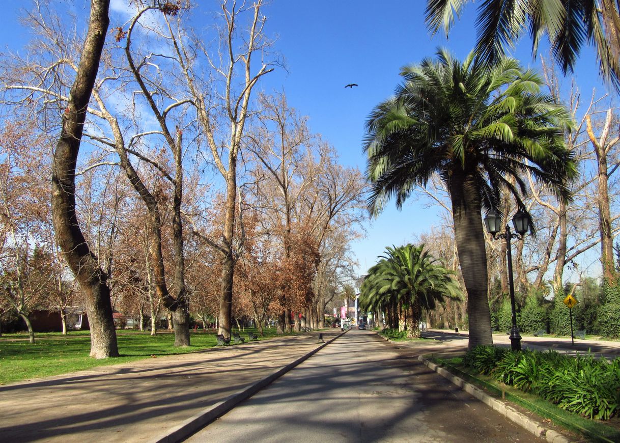 Place Parque Quinta Normal