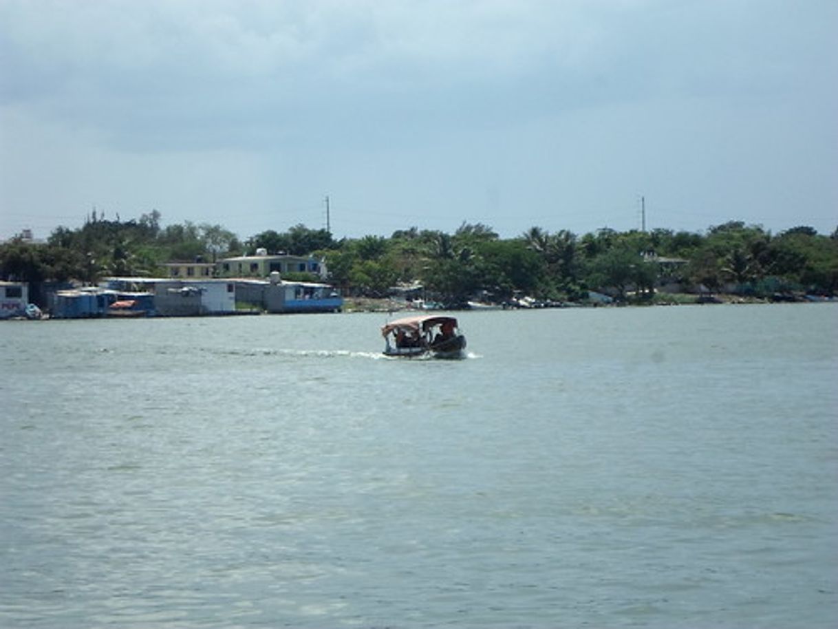 Place Laguna Del Carpintero Tampico