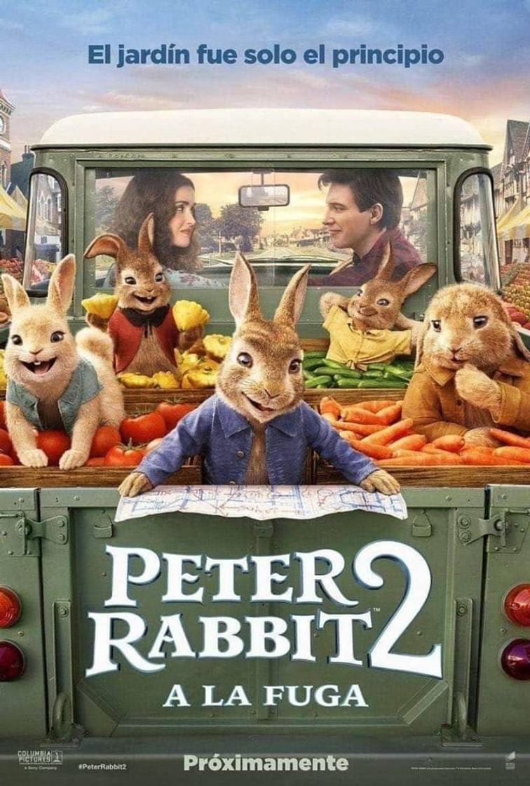 Movies PETER RABBIT 2: a la fuga  (2021)