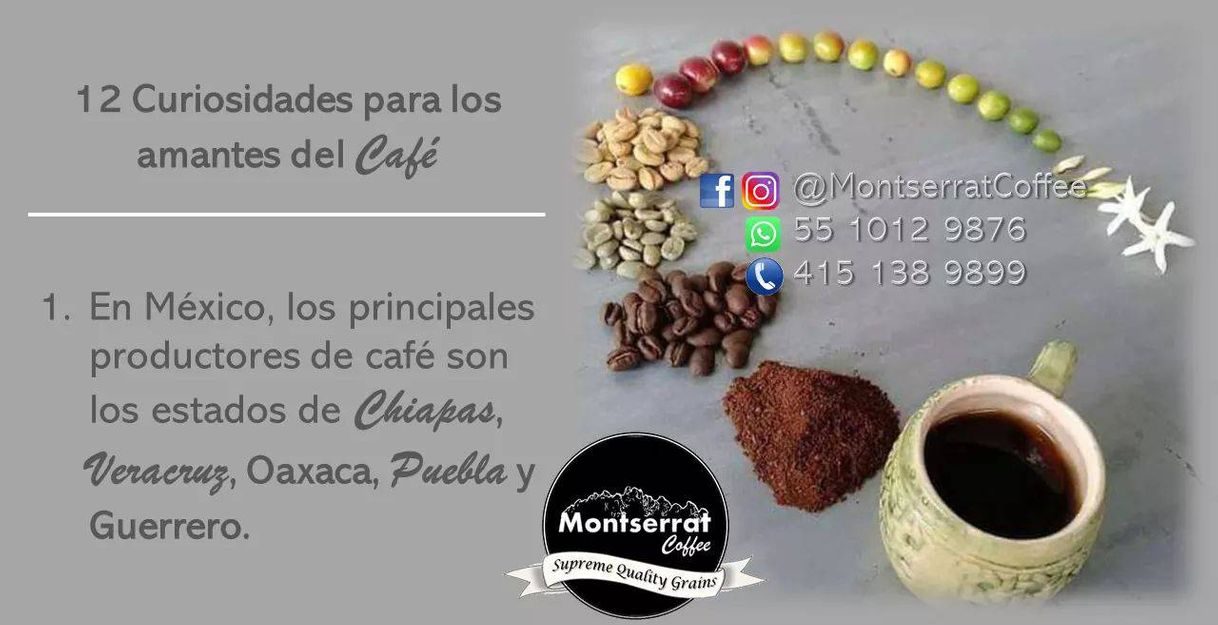 Social Montserrat Coffee - Home
