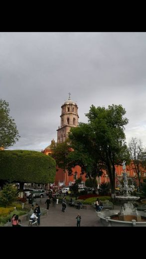 Jardín Zenea