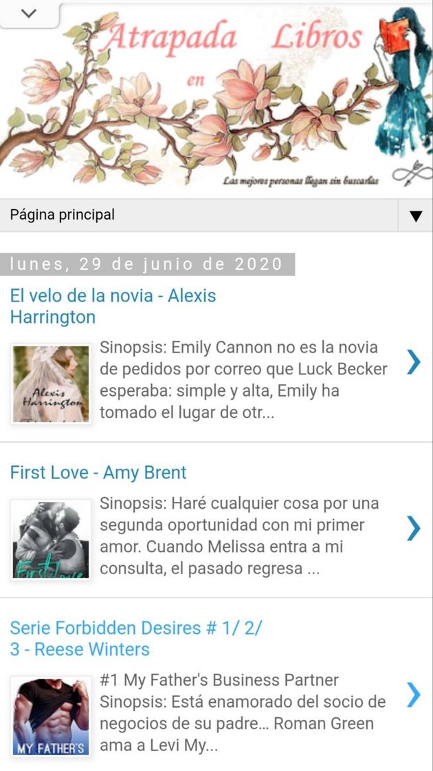 Fashion Blog Atrapada en Libros