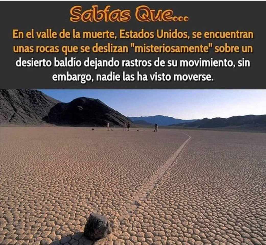 Social Sabias que?...