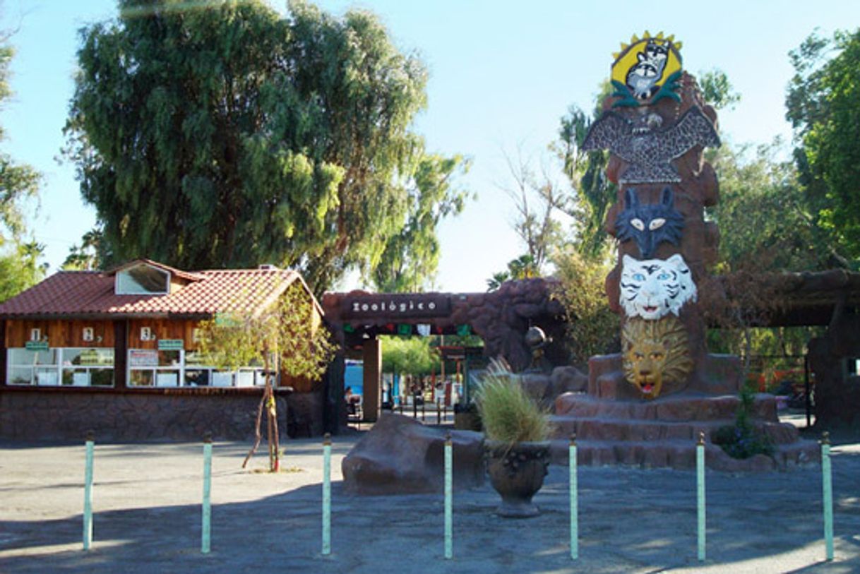 Place Bosque De La Ciudad