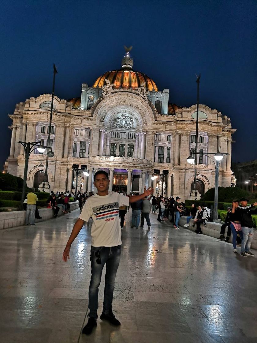 Lugar Palacio de Bellas Artes