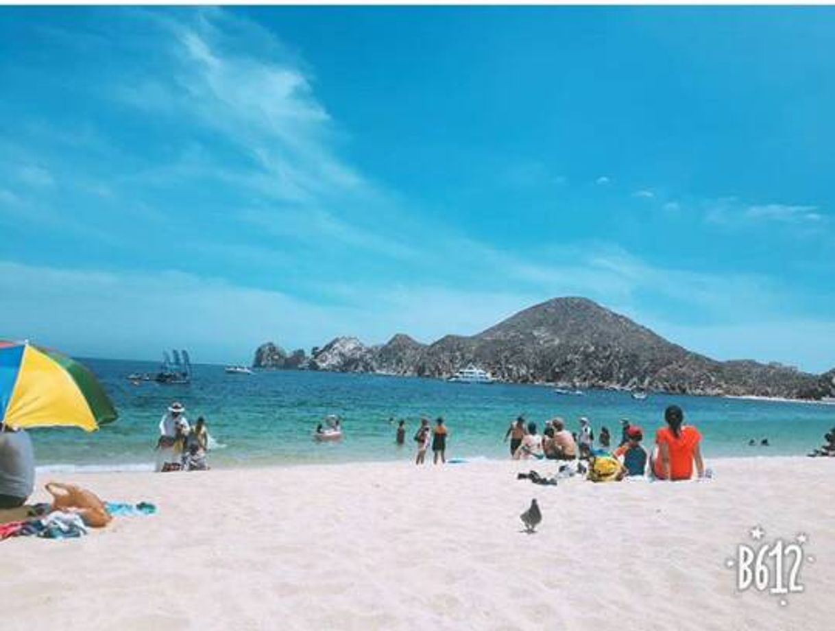 Place Los Cabos