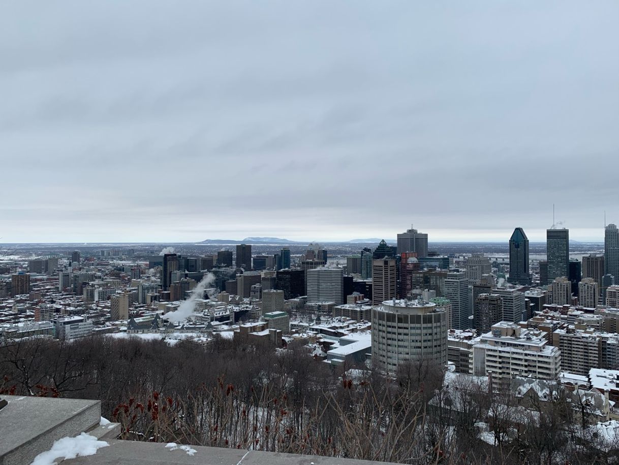 Place Mont-Royal