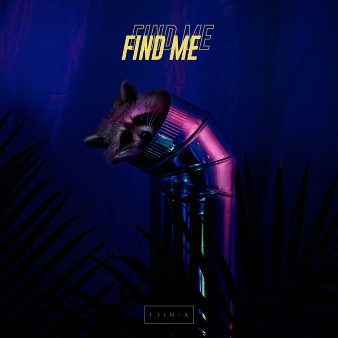 Canción Find Me