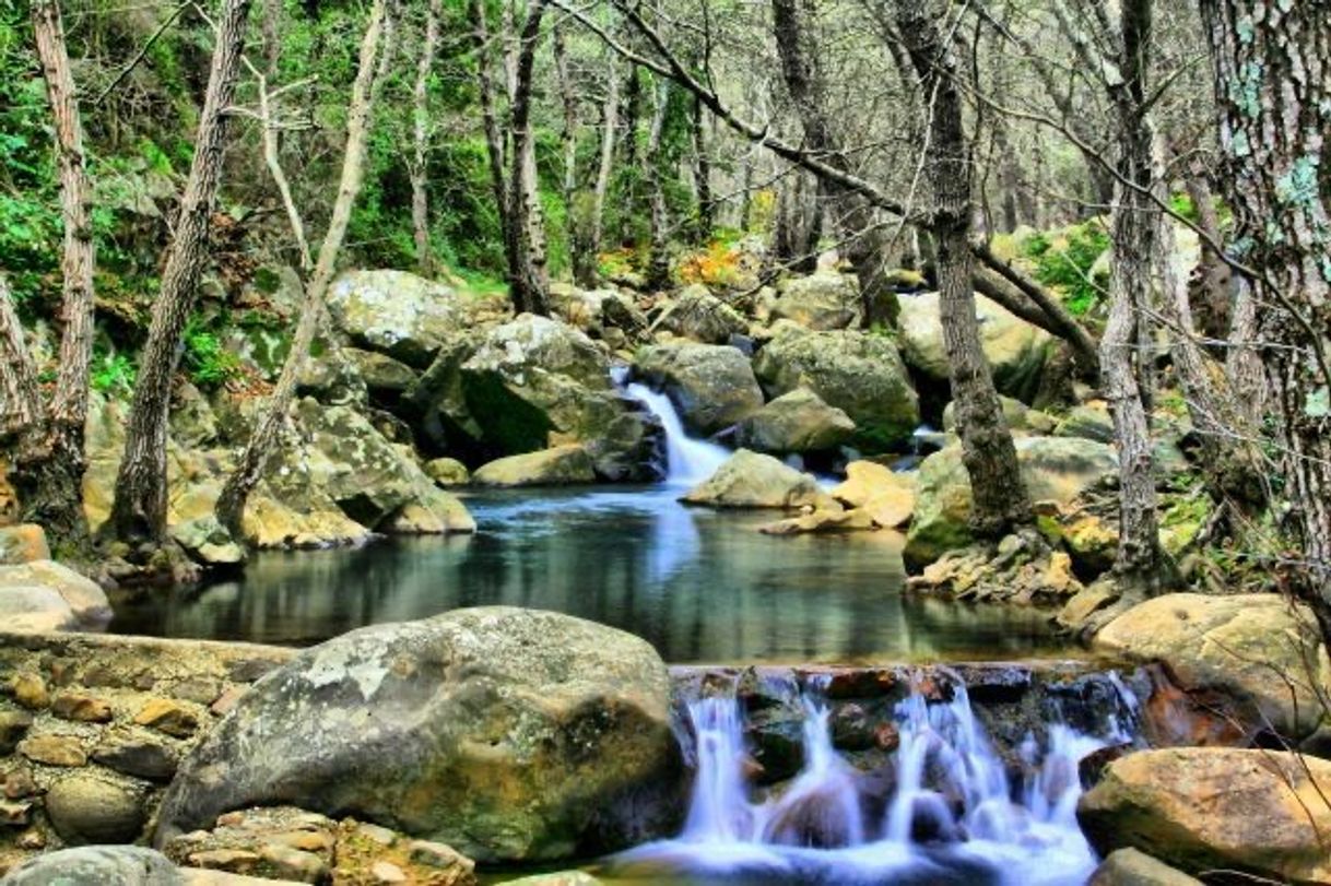 Place Sendero Rio De La Miel