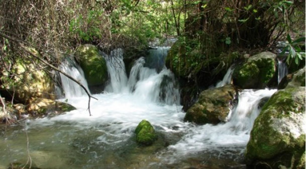 Place Sendero Río Majaceite