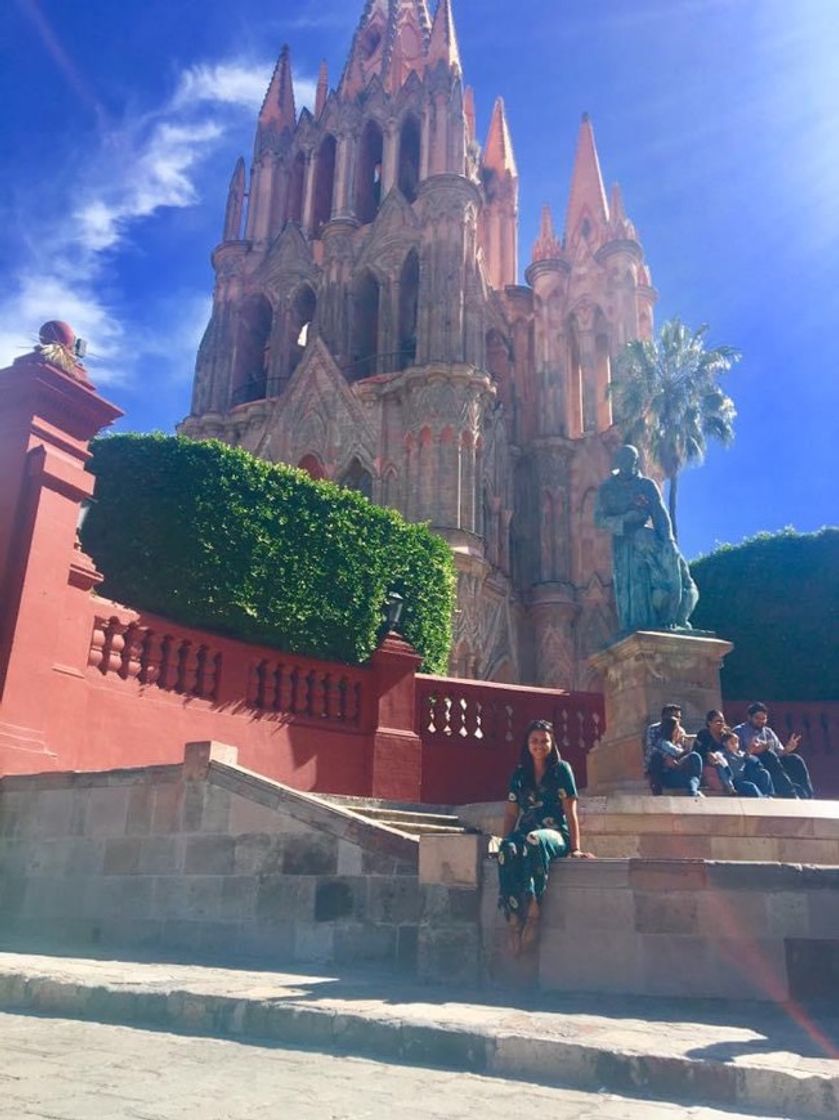 Place San Miguel de Allende