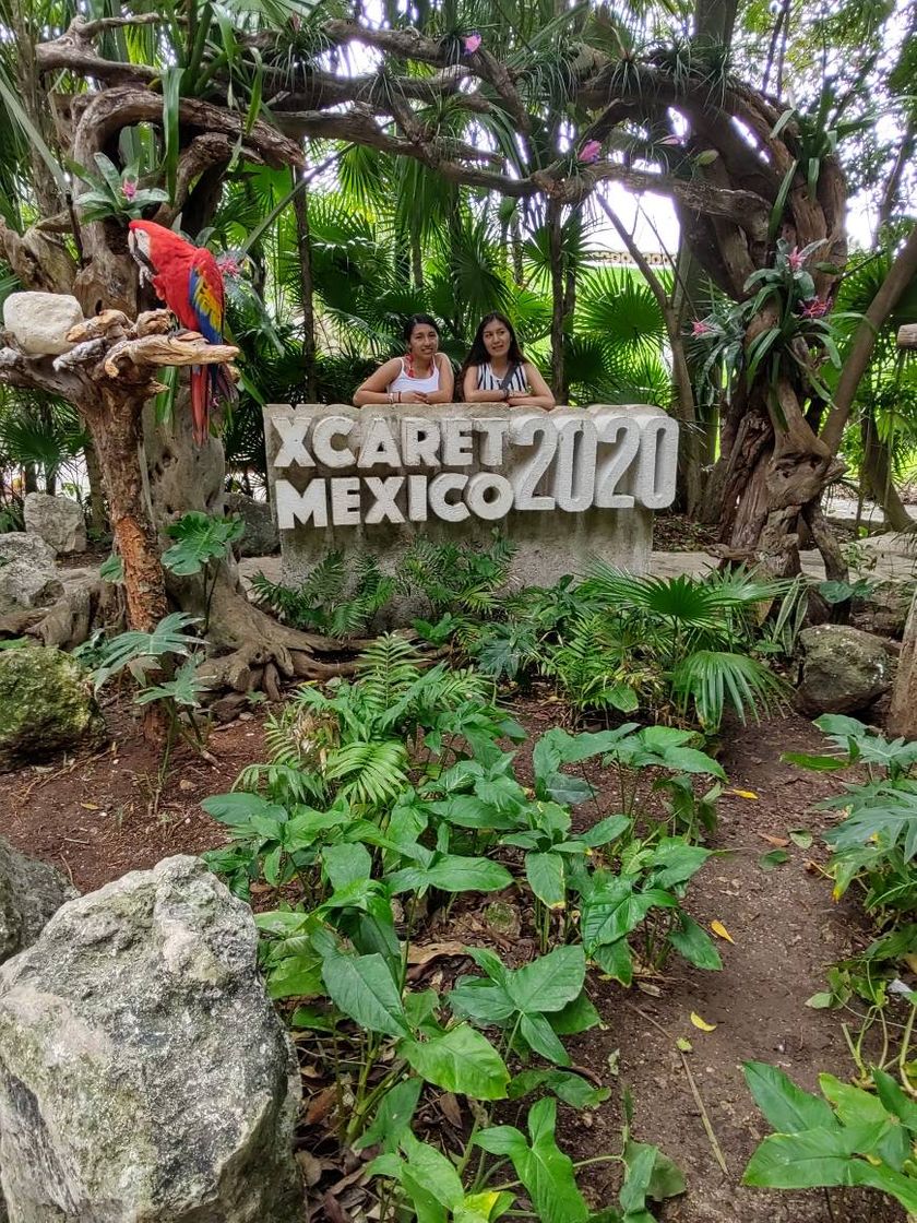 Lugar XCARET