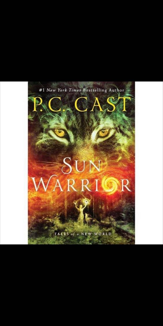 Books Sun Warrior