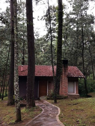 Sierra Vista Cabañas en Mazamitla