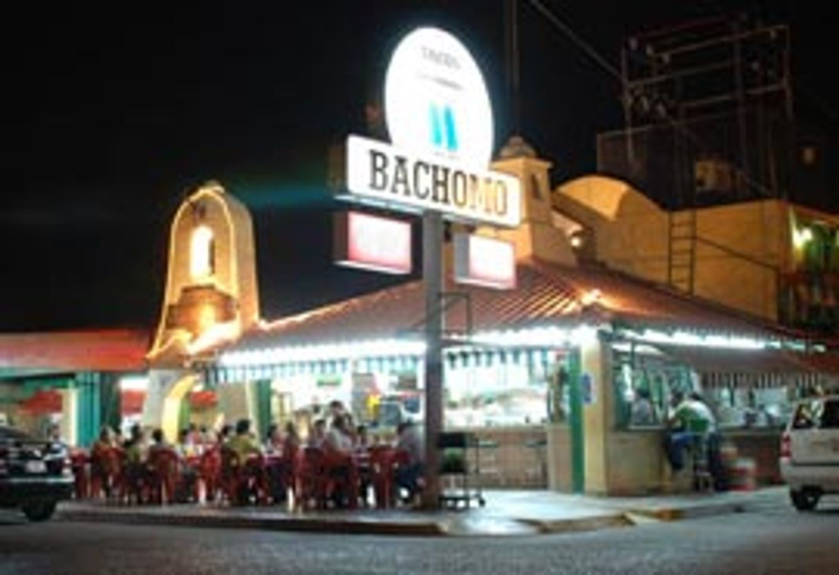 Restaurant Tacos Bachomo
