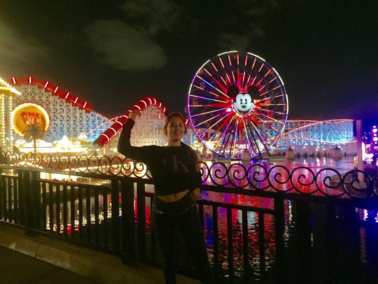 Lugar Disneyland