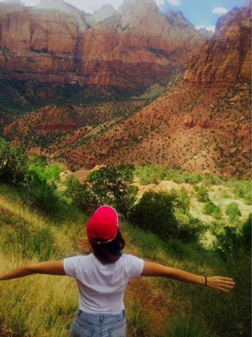 Place Zion National Park