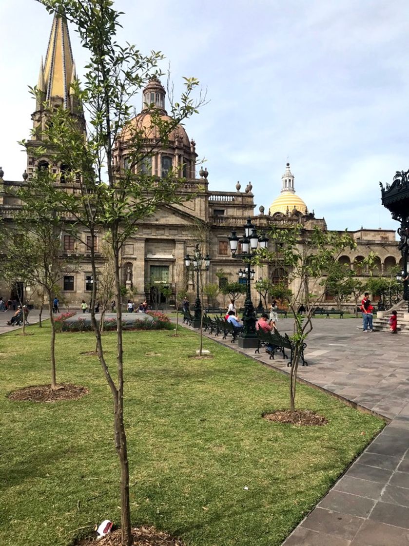 Place Catedral de Guadalajara