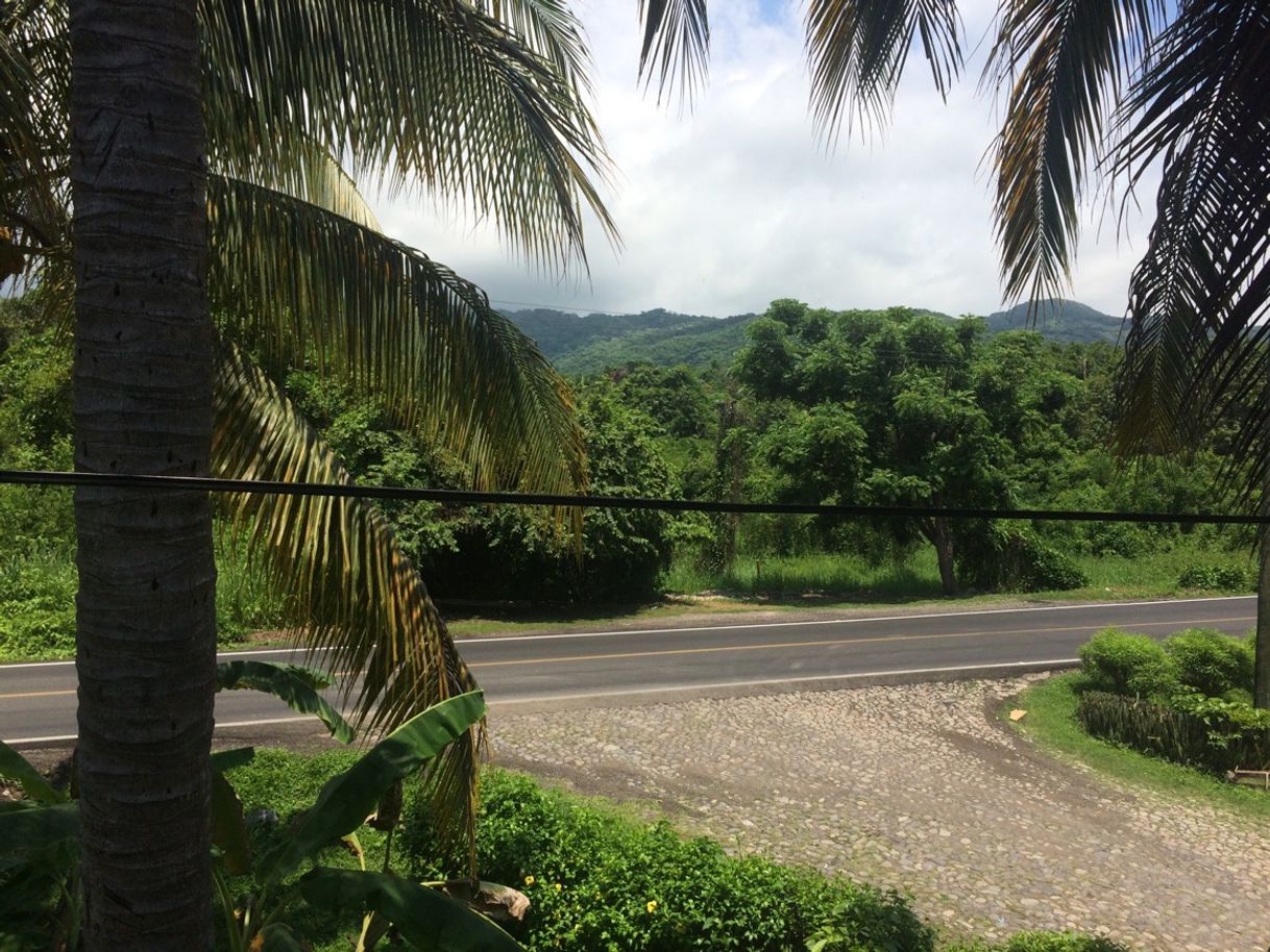 Lugar Playa de los Cocos