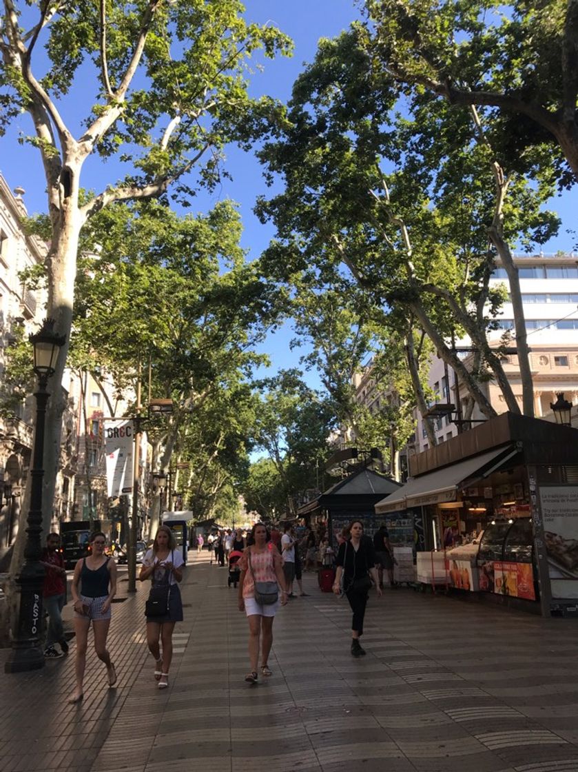 Lugar La Rambla